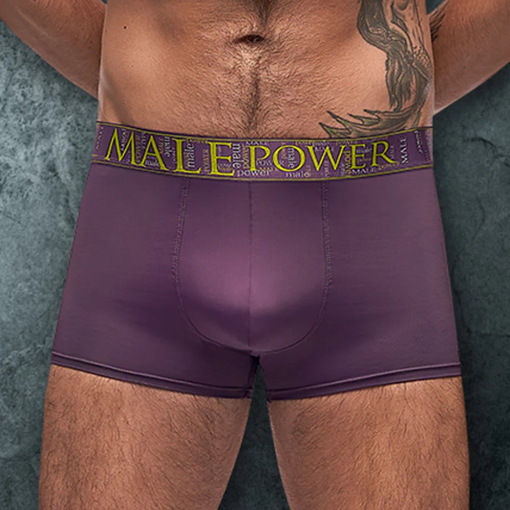 Male Power Mens BriefsStretch Nylon Lycra With Wide Logo Waistband